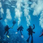 Primeros Auxilios Subacuáticos: Glosario de Buceo con Palabras y Expresiones de los Clubs de Buceo Esenciales