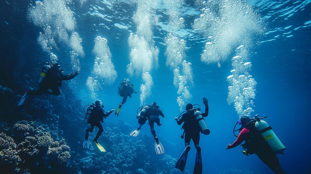Primeros Auxilios Subacuáticos: Glosario de Buceo con Palabras y Expresiones de los Clubs de Buceo Esenciales